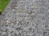 image of grave number 30407